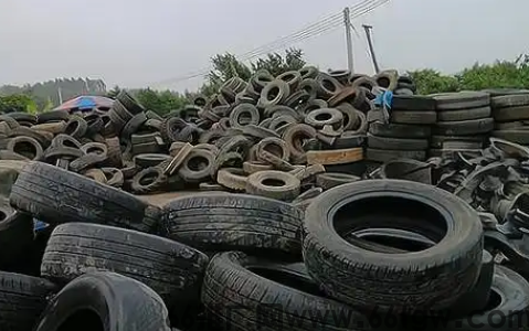 截图20250205084702.png