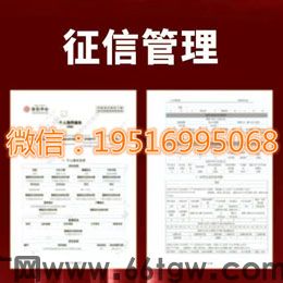 征信报告美化的重要性以及如何进行pdf无