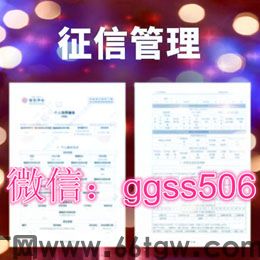 新个人征信报告PDF无痕修改制作步骤