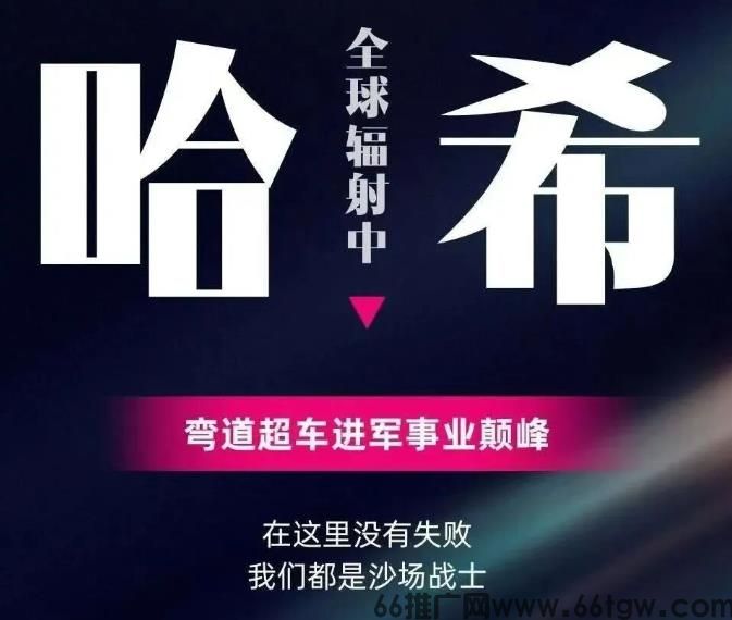 哈希V2/VS财富密码：全自动量化挂机，