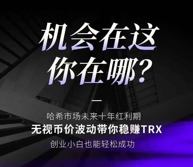 哈希平台推荐：S9、V8、V6、V5、V
