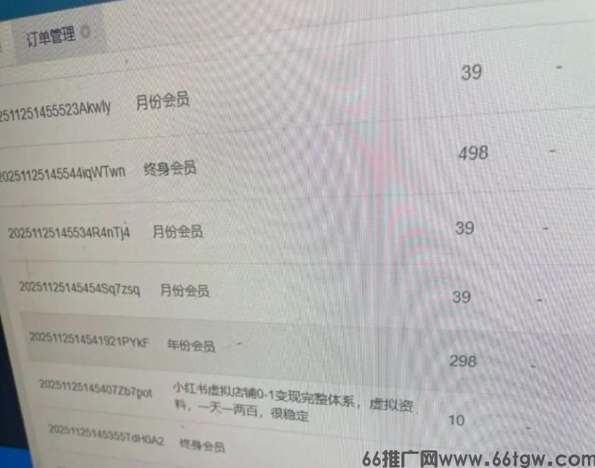 普通人做虚拟资源网站，实现月入过万，我手